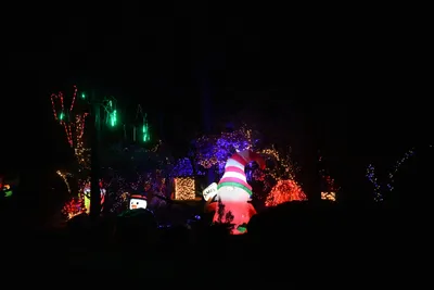 DSC_6758 (Large).JPG